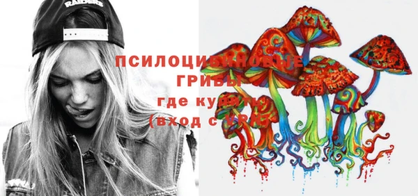 прущий лед Алексин