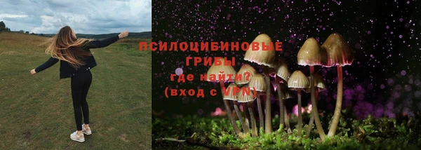 тгк Алзамай